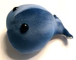 baby boy whale