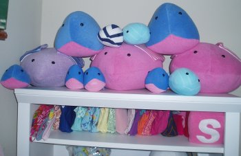 yay shelf! yay shelf!